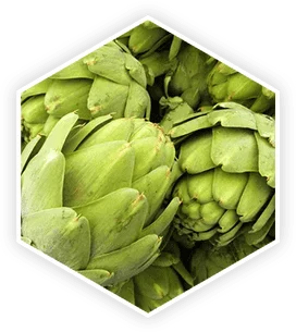 Artichoke extract used in ProstaVive