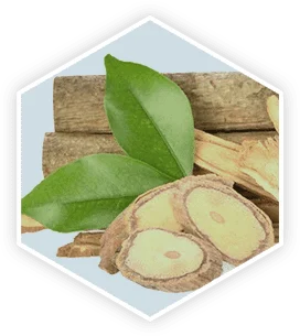 Tongkat Ali root extract used in ProstaVive