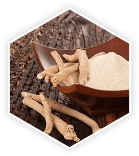 Ashwagandha root extract used in ProstaVive