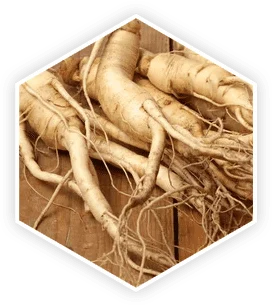 Panax ginseng root used in ProstaVive