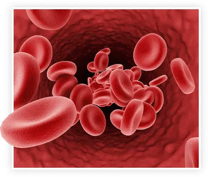 Illustration of healthy blood flow through a vessel